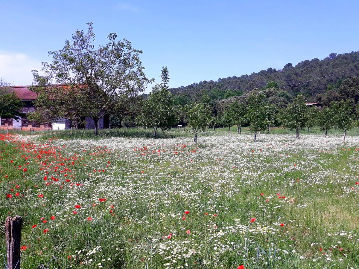 Gite Du Bouyssou Carsac-Aillac Exterior foto