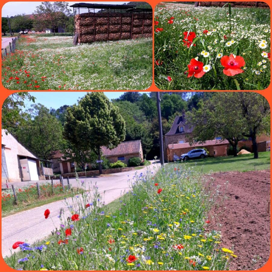 Gite Du Bouyssou Carsac-Aillac Exterior foto